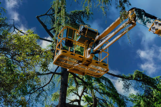 Best Landscape Design and Installation  in Franklin Park, NJ